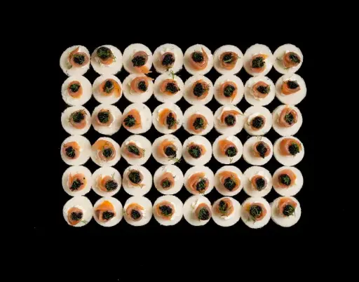 Plateau zakouskis de saumon*48 pc